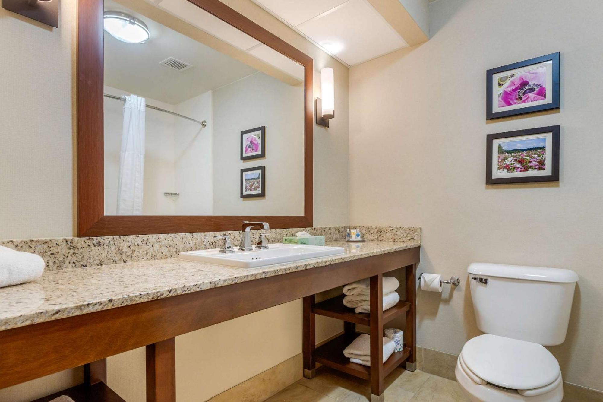 Comfort Suites Gastonia - Charlotte Εξωτερικό φωτογραφία